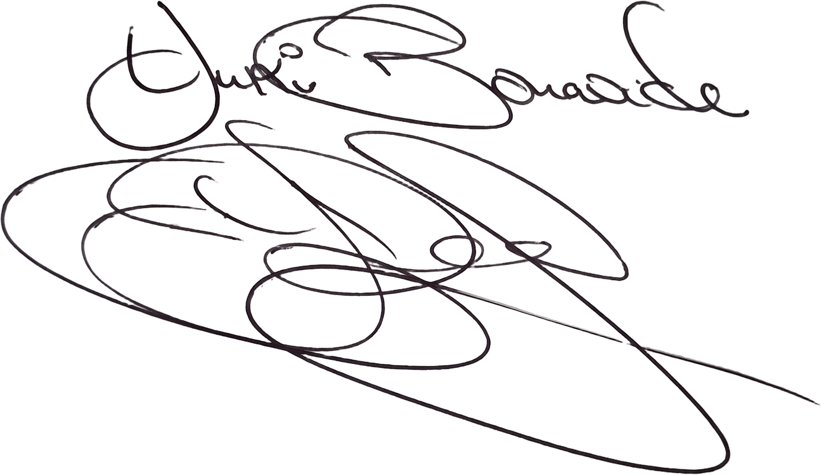 Yuki Bonavich — handwritten signature